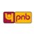 punjab-national-bank-